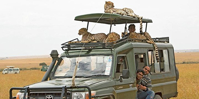 3-days-masai-mara-landcruiser-safari