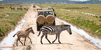 5-days-lake-manyara-ngorongoro-serengeti-tanzania-safari
